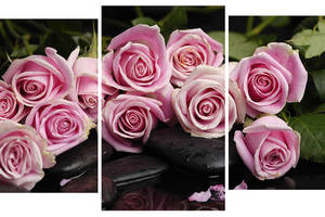 Модульная картина Декор Карпаты 100х53 см Розовые розы (M3-t28)