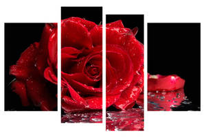 Модульная картина Декор Карпаты 110х70 см Красная Роза (M4-c174)