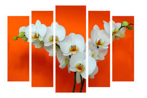 Модульная картина Декор Карпаты 120х80 см Белые Орхидеи (M5-С-4)