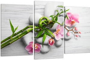 Модульная картина Декор Карпаты в гостиную / спальню для интерьера Розовая орхидея на камнях 53x100 см MK30159_E