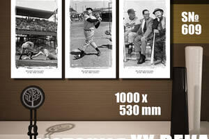Модульная картина Декор Карпаты история ХХ века: бейсбол 100х53см (s609)
