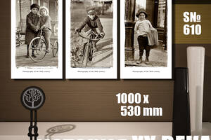 Модульная картина Декор Карпаты история ХХ века: велосипед 100х53см (s610)