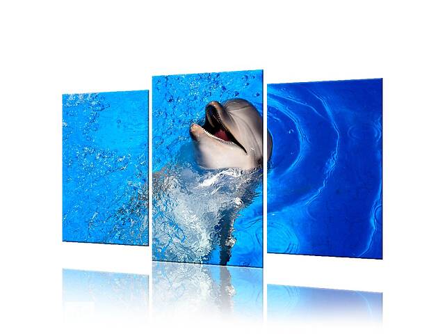 Модульная картина Дельфин ADJ0021 размер 120 х 180 см