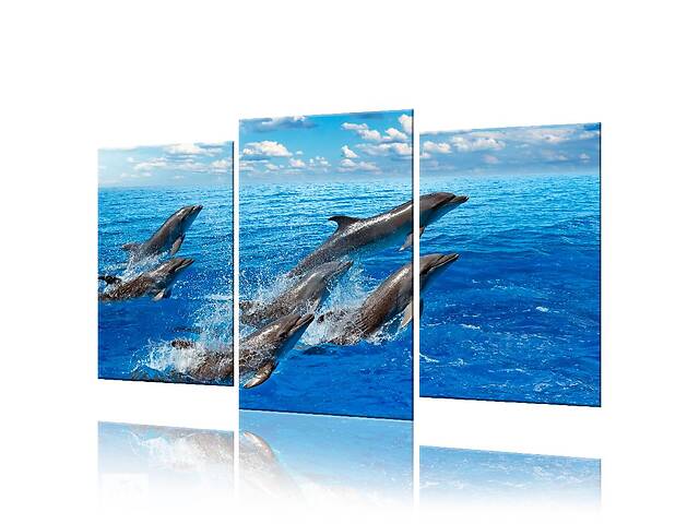 Модульная картина Дельфины ADJ0010 размер 70 х 105 см