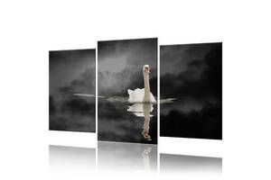 Модульная картина Лебедь ADJ0024 размер 70 х 105 см