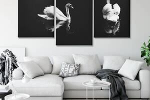 Модульна картина Malevich Store із трьох частин Лебеді 141x90 см (MK322000)