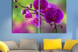 Модульная картина на холсте KIL Art Красочная орхидея 71x51 см (238-2)