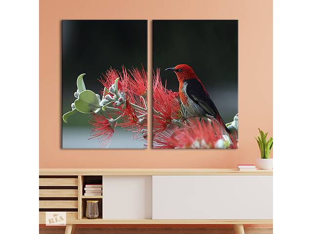 Модульная картина на холсте KIL Art Маленькая птица на красной ветке 111x81 см (129-2)