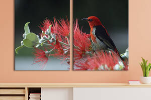Модульная картина на холсте KIL Art Маленькая птица на красной ветке 165x122 см (129-2)