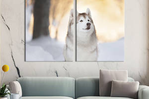 Модульная картина на холсте KIL Art Пёс в снежном лесу 165x122 см (211-2)