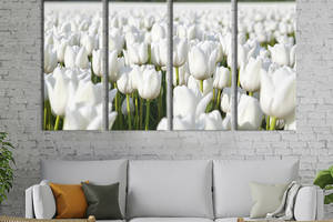 Модульная картина на холсте KIL Art полиптих Белоснежное поле тюльпанов 209x133 см (237-41)