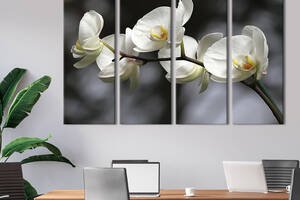 Модульная картина на холсте KIL Art полиптих Хрупкая ветка орхидеи 209x133 см (230-41)