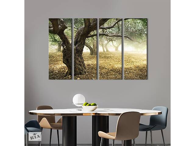 Модульная картина на холсте KIL Art полиптих Красивый сад оливковых деревьев 149x93 см (554-41)
