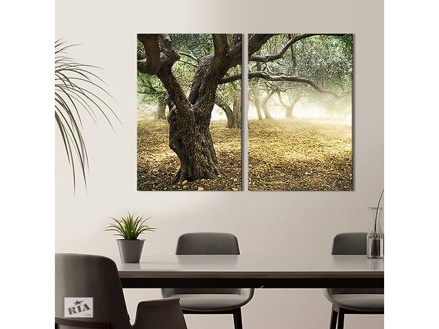 Модульная картина на холсте KIL Art Солнечный сад из оливковых деревьев 71x51 см (554-2)