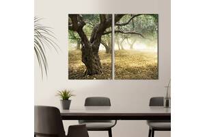 Модульная картина на холсте KIL Art Солнечный сад из оливковых деревьев 165x122 см (554-2)