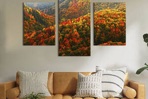 Модульная картина на холсте KIL Art триптих Бескрайний лес 96x60 см (598-32)