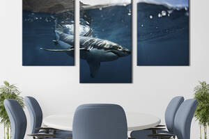 Модульная картина на холсте KIL Art триптих Большая белая акула 96x60 см (151-32)