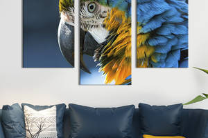 Модульная картина на холсте KIL Art триптих Большой попугай ара 141x90 см (157-32)