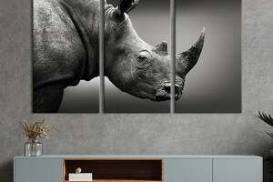 Модульная картина на холсте KIL Art триптих Чёрный носорог в профиль 78x48 см (172-31)