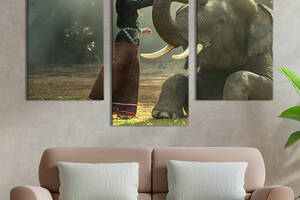 Модульная картина на холсте KIL Art триптих Девушка гладит слона 96x60 см (162-32)