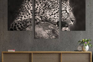 Модульная картина на холсте KIL Art триптих Дикий леопард 66x40 см (207-32)