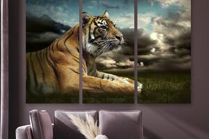 Модульная картина на холсте KIL Art Триптих Гордый тигр 156x100 см (M3_XL_229)