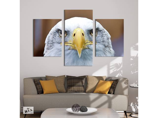 Модульная картина на холсте KIL Art триптих Хищный взгляд орла 66x40 см (204-32)