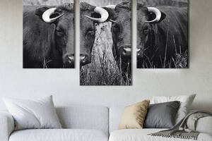Модульная картина на холсте KIL Art триптих Коровы с острыми рогами 96x60 см (210-32)