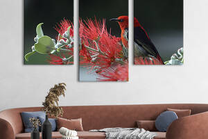 Модульная картина на холсте KIL Art триптих Красная птица на ветке 141x90 см (129-32)