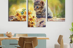 Модульная картина на холсте KIL Art триптих Красивый маленький котёнок 96x60 см (152-32)