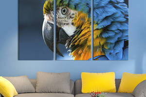 Модульная картина на холсте KIL Art триптих Красивый попугай ара 128x81 см (157-31)