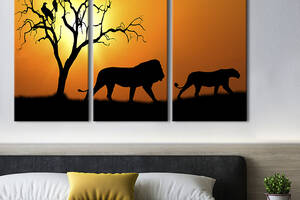 Модульная картина на холсте KIL Art триптих Львы в лучах солнца на закате 78x48 см (137-31)