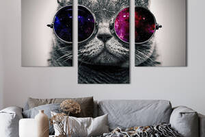 Модульная картина на холсте KIL Art триптих Модный серый кот 96x60 см (195-32)