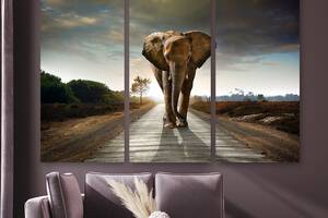 Модульная картина на холсте KIL Art Триптих Могущественный слон 156x100 см (M3_XL_233)