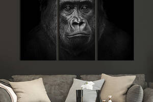 Модульная картина на холсте KIL Art триптих Милая горилла 156x100 см (192-31)