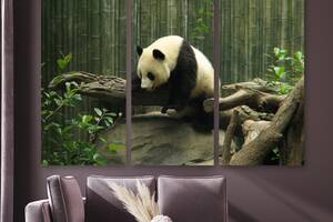 Модульная картина на холсте KIL Art Триптих Милая панда 156x100 см (M3_XL_231)