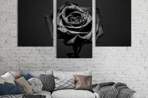 Модульная картина на холсте KIL Art триптих Мистическая роза 96x60 см (252-32)
