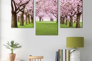 Модульная картина на холсте KIL Art триптих Нежно-розовые сакуры 96x60 см (571-32)