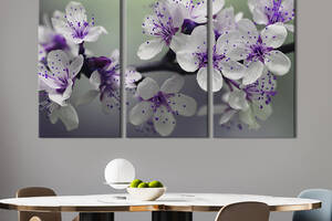 Модульная картина на холсте KIL Art триптих Нежные цветы вишни 128x81 см (214-31)