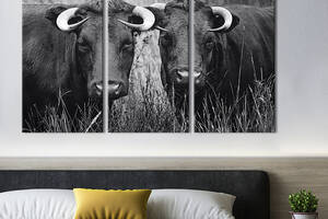 Модульная картина на холсте KIL Art триптих Пара чёрных коров 78x48 см (210-31)