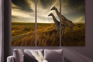 Модульная картина на холсте KIL Art Триптих Пара жирафов 156x100 см (M3_XL_224)