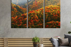 Модульная картина на холсте KIL Art триптих Пёстрый горный лес 78x48 см (598-31)