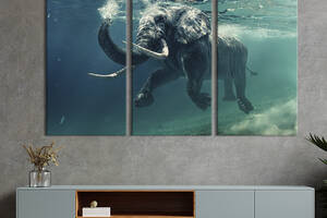 Модульная картина на холсте KIL Art триптих Плывущий слон 128x81 см (155-31)