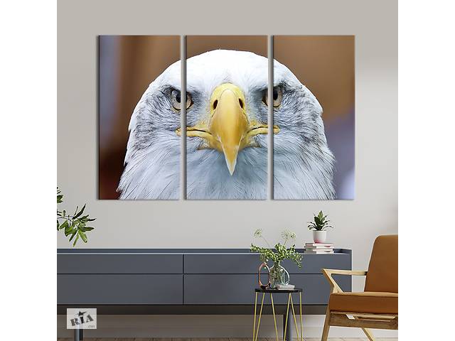 Модульная картина на холсте KIL Art триптих Портрет орла 156x100 см (204-31)