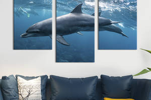 Модульная картина на холсте KIL Art триптих Прекрасные дельфины 96x60 см (205-32)