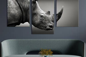 Модульная картина на холсте KIL Art триптих Профиль чёрного носорога 96x60 см (172-32)