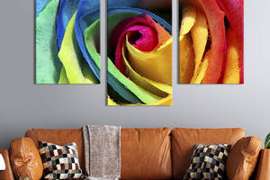 Модульная картина на холсте KIL Art триптих Роза с разноцветными лепестками 96x60 см (261-32)