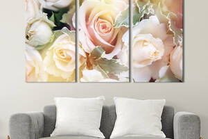 Модульная картина на холсте KIL Art триптих Розы светлых тонов 78x48 см (250-31)