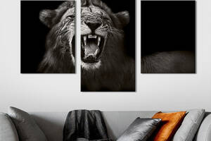 Модульная картина на холсте KIL Art триптих Рычание льва 141x90 см (144-32)