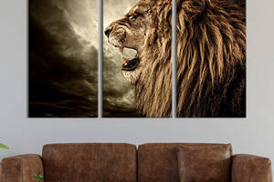 Модульная картина на холсте KIL Art триптих Рык льва 78x48 см (142-31)